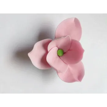 Jedlá dekorace na dort Dortisimo Cukrová magnolie růžová (9 ks)