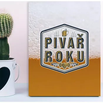 Plechová cedule Sablio Dárková cedulka Pivař roku: 30x40 cm