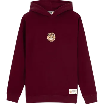 Pánská mikina Mikina s kapucí Puma GSSTORE X Reflect Studio Lion e242400-100 Velikost XXL