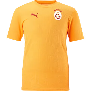 Dres Puma Galatasaray Istanbul Training T-Shirt 77969511-202 Velikost L