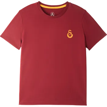 Pánské tričko Triko Puma Galatasaray Istanbul T-Shirt e251047-100 Velikost S