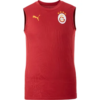 Pánské tílko Tílko Puma Galatasaray Istanbul Training SL T-Shirt 77969001-202 Velikost M