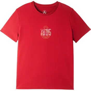 Pánské tričko Triko Puma Galatasaray Istanbul T-Shirt e251059-101 Velikost L