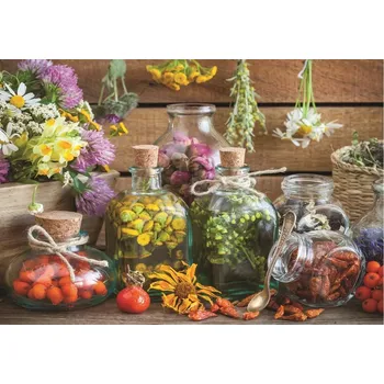 Puzzle Anatolian puzzle Bylinná terapie 500 dílků