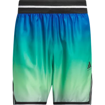 Pánské kraťasy Šortky adidas Crazy Lite AOP jv6912 Velikost L-7"