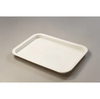 PROHOME - Podnos hranatý 31x22cm