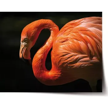 Plakát Sablio Plakát Plameňák - 60x40 cm