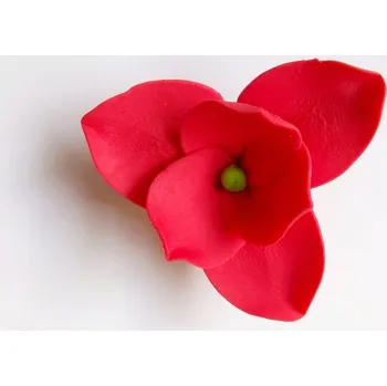 Jedlá dekorace na dort Dortisimo Cukrová magnolie červená (9 ks)