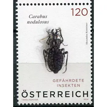 Poštovní známka Österreich post (2024) MiNr. 3784 ** - Rakousko - Hmyz (II.) - Černý brouk (Carabus sylvatica)