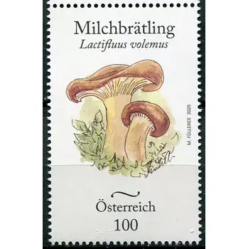 Poštovní známka Österreich post (2025) MiNr. 3914 ** - Rakousko - Houby (VI.) Ryzec oranžový (Lactifluus volemus)