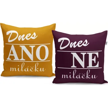 Polštář Sablio Polštář Dnes ANO, dnes NE: 40x40 cm