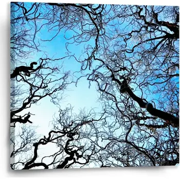 Obraz Sablio Obraz Holé větve - 50x50 cm