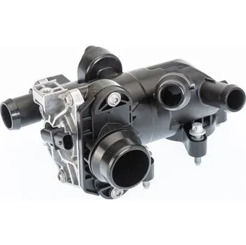 Těsnění motoru Termostat, chladivo BorgWarner (Wahler) 412250.96D