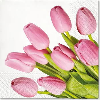 Papírový kapesník Paw Ubrousky PAW TETE L (20ks) 596193