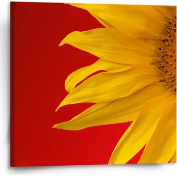 Obraz Sablio Obraz Slunečnice - 110x110 cm