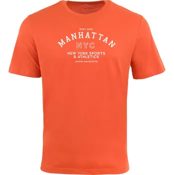 Pánské triko Athl. DPT Aster A0300 S