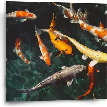 Obraz Sablio Obraz Ryby - 50x50 cm
