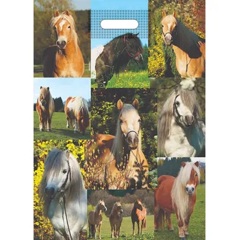 Dárková taška Lika LIKA taška PE 34x50 Koně/50/ ,balení 50 ks 596359