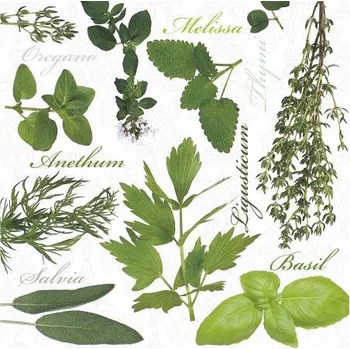 Papírový kapesník Paw Ubrousky PAW Dekor L (20ks) Herbal Taste 596152