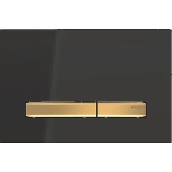 Splachovací tlačítko Splachovací tlačítko pro WC Geberit Sigma, černé