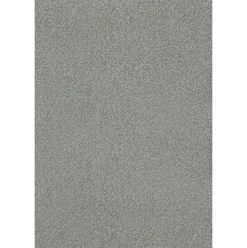 Koberec Breno Metrážový koberec DAKOTA 1025 - 76, šíře 400 cm, Šedá