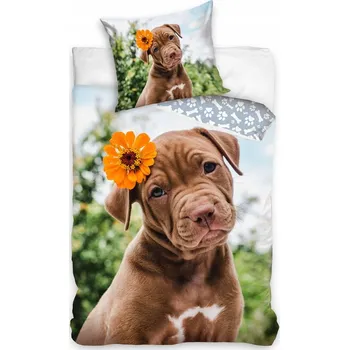 Povlečení Sada povlečení Carbotex 160 x 200 cm, vícebarevné