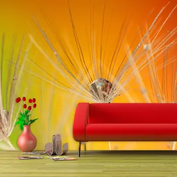 Tapeta Sablio Tapeta Odkvetlé pampelišky 2 - 208x125 cm