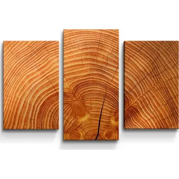 Obraz Sablio Obraz - 3-dílný Dřevo 2 - 75x50 cm