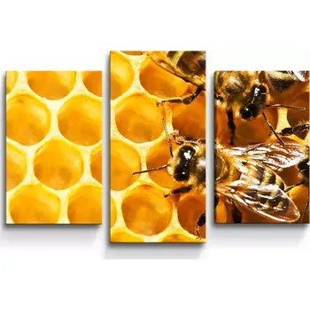 Obraz Sablio Obraz - 3-dílný Včely - 75x50 cm