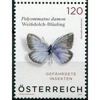 Poštovní známka Österreich post (2025) MiNr. 3904 ** - Rakousko - Hmyz (III.) - Damon blue (Polyommatus damon)