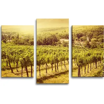 Obraz Sablio Obraz - 3-dílný Vinice - 75x50 cm