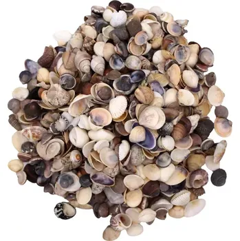 Dekorační mušle drobné mix 10ks