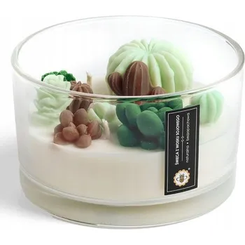 Svíčka Sójová svíčka Zelené kaktusy Miodowa Mydlarnia