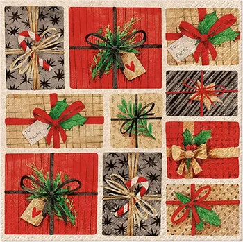 Papírový kapesník Paw Ubrousky PAW Dekor We Care (20ks) Composition with Gifts 596723