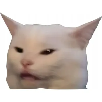 Samolepicí dekorace na vozidlo Barevná NÁLEPKA Grafika na Auto Koukající Kočka Kotě MEME Memy 13x10cm