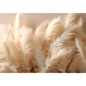 Fototapeta Fototapeta PEŘÍ 3D Do Ložnice Obýváku 416x254