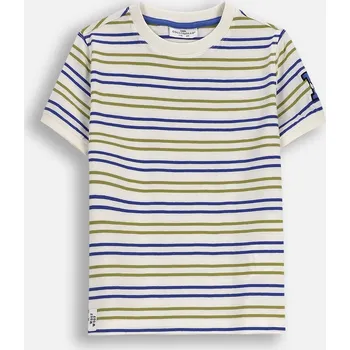 Dětské chlapecké tričko s krátkým rukávem a proužky 098 Coccodrillo ZC5