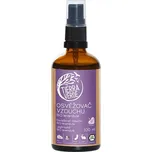Tierra Verde s.r.o. Tierra Verde Osvěžovač vzduchu BIO Levandule 100 ml