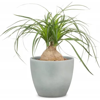 Květináč Kamenná obal na květináč na květináč šedá 14 Scheurich