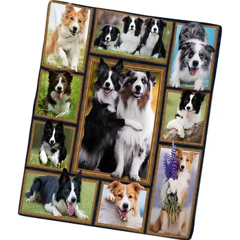 deka Excellent Mikroplyšová hřejivá deka 150x200 cm - Border kolie/2