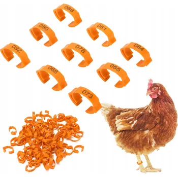 Obraz Kroužky na nohy pro kuřata 100 ks