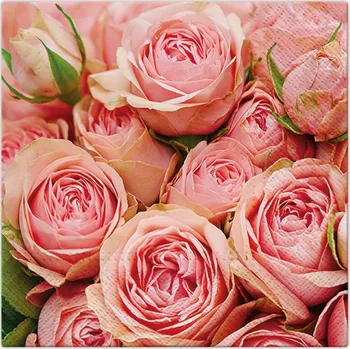 Paw Ubrousky PAW TETE L (20ks) Lots of Roses 596201