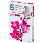 Vonné čajové svíčky 6ks, Orchid