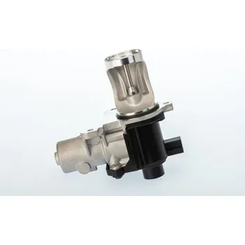 Ventil palivového systému AGR-Ventil BorgWarner (Wahler) 710571.00D