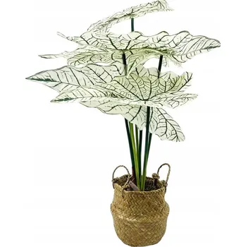 umělá květina UMĚLÝ KVĚT v košíku ALOKÁZIE rostlina 30x51