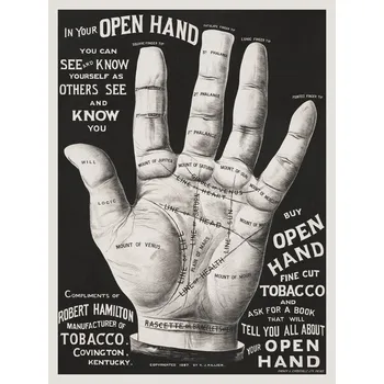 Plakát Plakát, Obraz - Open Hand, Palm Reading (Vintage Graphic Ad Poster)