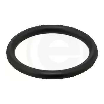 Ventil palivového systému ELRING Těsnící kroužek ELR 847.050