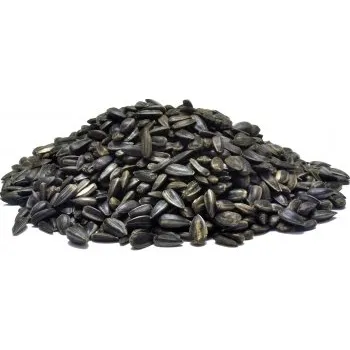 Pro ptáka ZETEN Slunečnice 5 kg