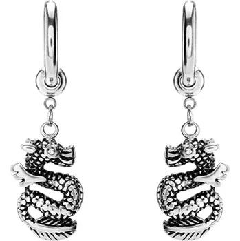 Náušnice Steel Edge Náušnice z chirurgické oceli s drakem WJHE1274