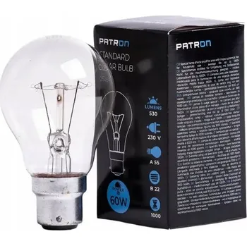Žárovka Tradiční žárovka B22 60W A55 2
